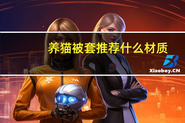 养猫被套推荐什么材质