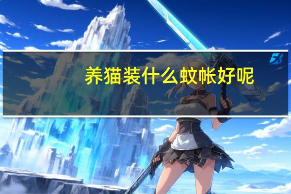 养猫装什么蚊帐好呢