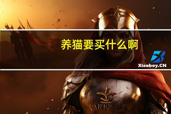 养猫要买什么啊