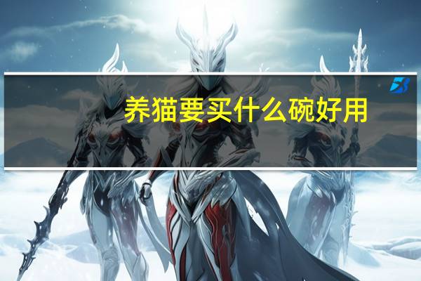 养猫要买什么碗好用