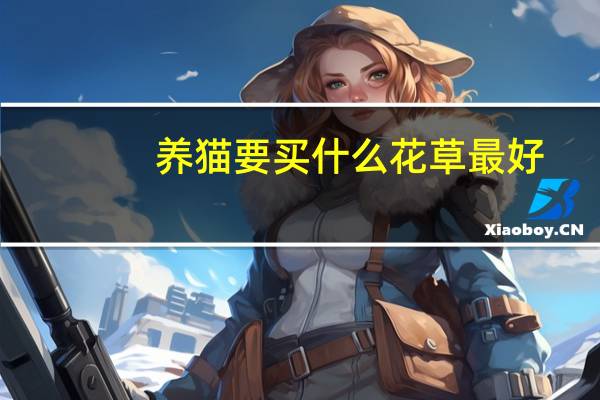 养猫要买什么花草最好