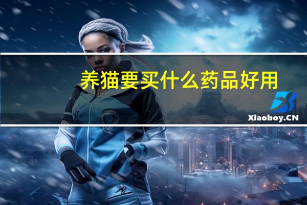 养猫要买什么药品好用