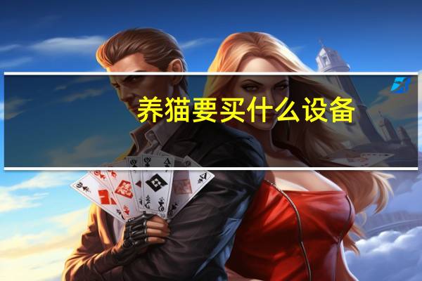 养猫要买什么设备