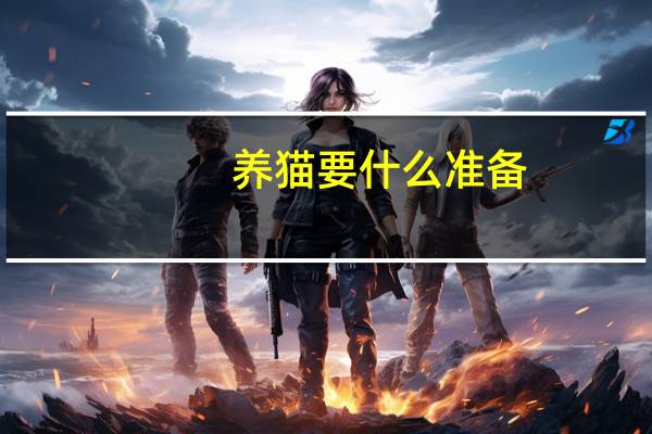 养猫要什么准备