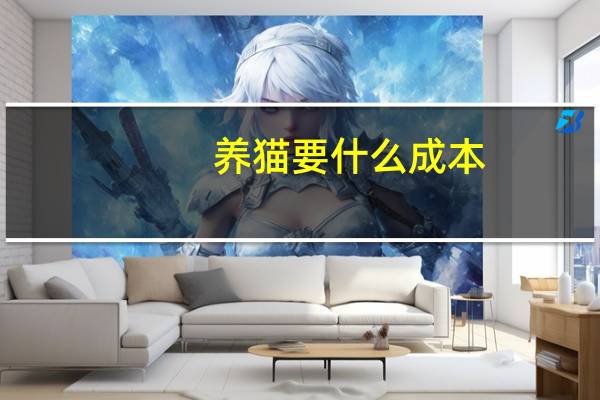 养猫要什么成本