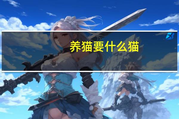 养猫要什么猫