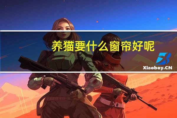 养猫要什么窗帘好呢