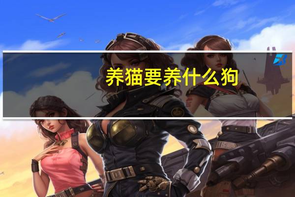 养猫要养什么狗