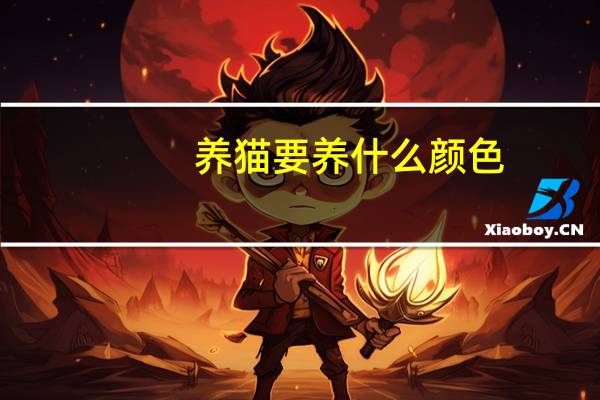 养猫要养什么颜色