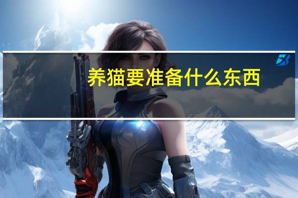 养猫要准备什么东西