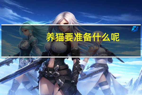 养猫要准备什么呢