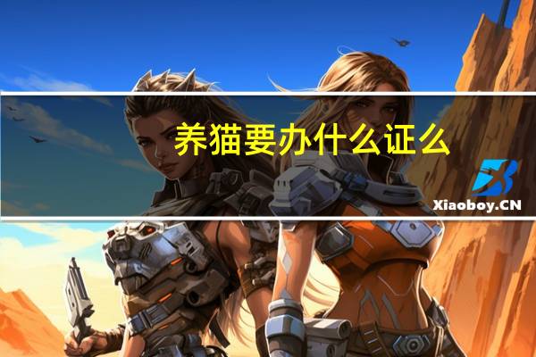 养猫要办什么证么