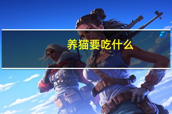 养猫要吃什么