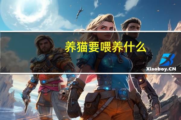 养猫要喂养什么