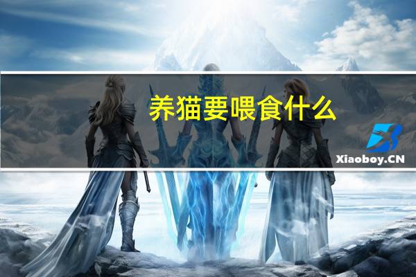 养猫要喂食什么