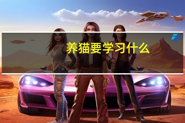养猫要学习什么