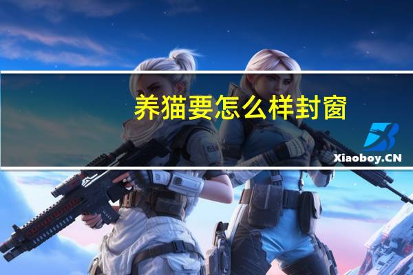 养猫要怎么样封窗
