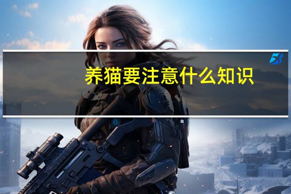 养猫要注意什么知识