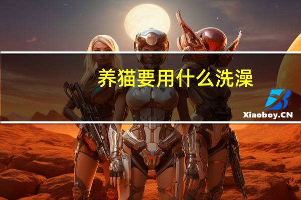 养猫要用什么洗澡