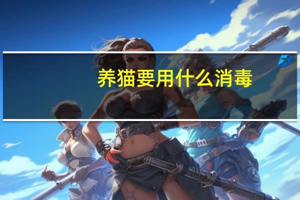养猫要用什么消毒