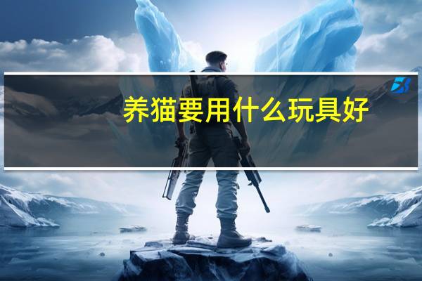 养猫要用什么玩具好