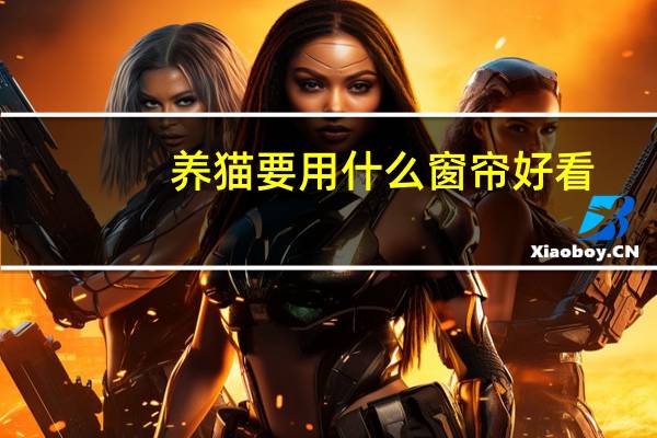 养猫要用什么窗帘好看