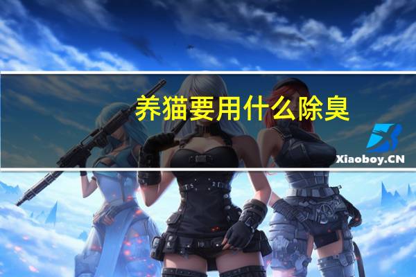 养猫要用什么除臭