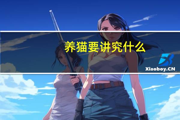 养猫要讲究什么