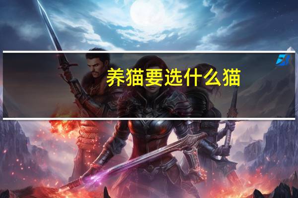 养猫要选什么猫