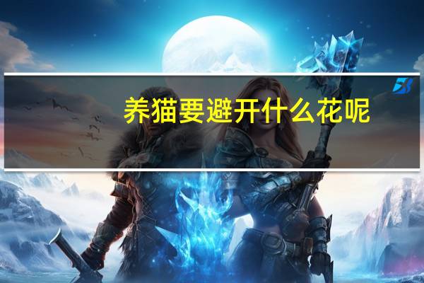 养猫要避开什么花呢