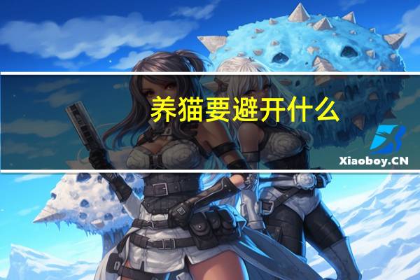 养猫要避开什么