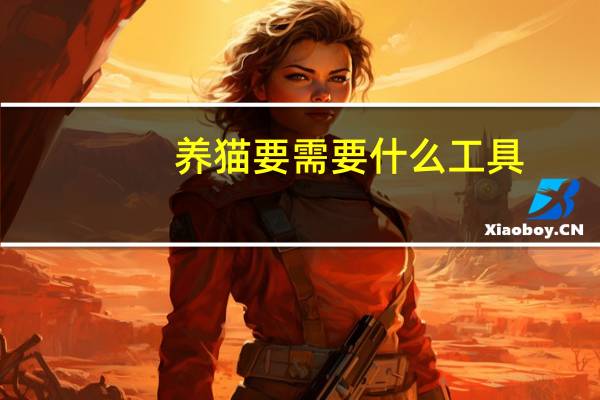 养猫要需要什么工具