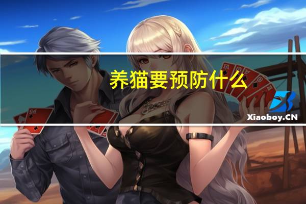 养猫要预防什么