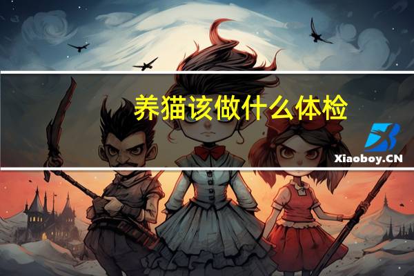 养猫该做什么体检