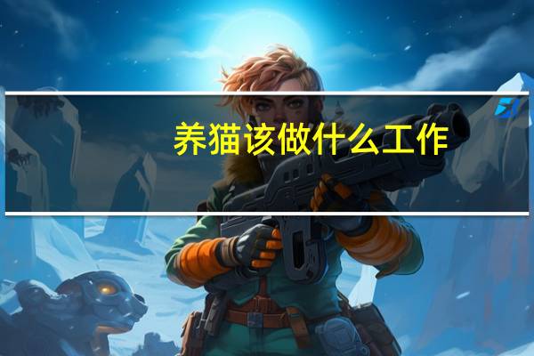 养猫该做什么工作