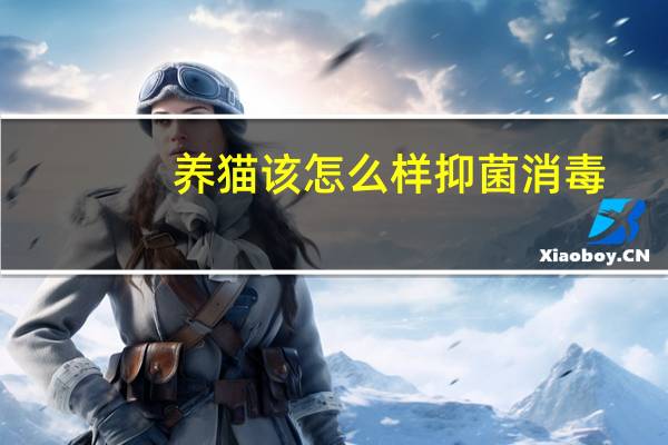 养猫该怎么样抑菌消毒
