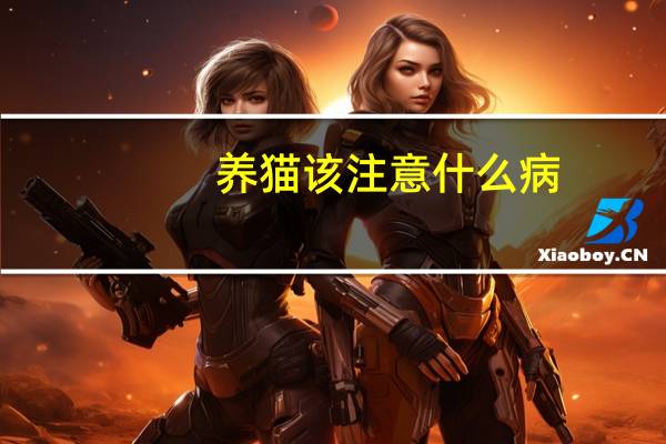 养猫该注意什么病