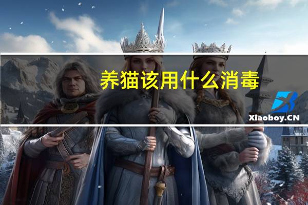 养猫该用什么消毒