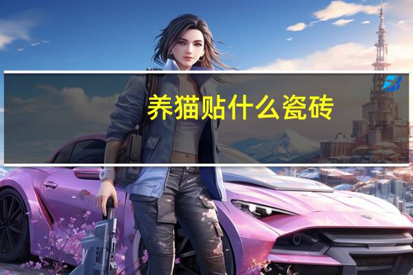 养猫贴什么瓷砖