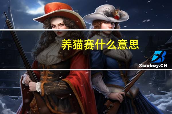 养猫赛什么意思