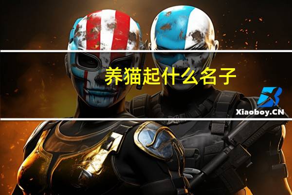 养猫起什么名子