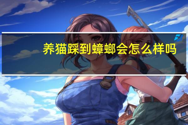 养猫踩到蟑螂会怎么样吗