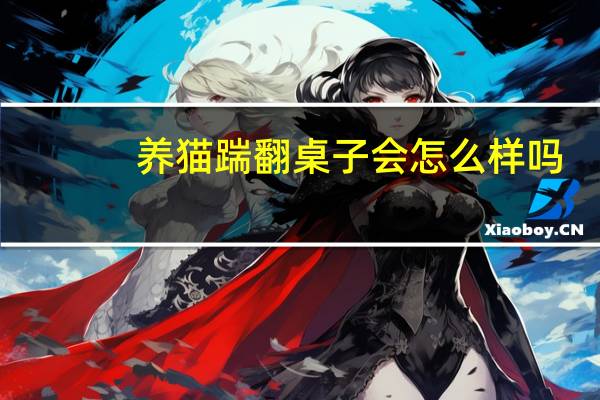 养猫踹翻桌子会怎么样吗