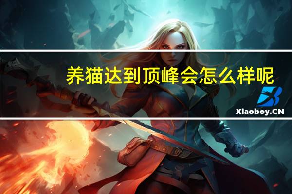 养猫达到顶峰会怎么样呢