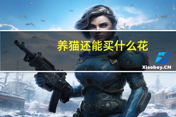 养猫还能买什么花