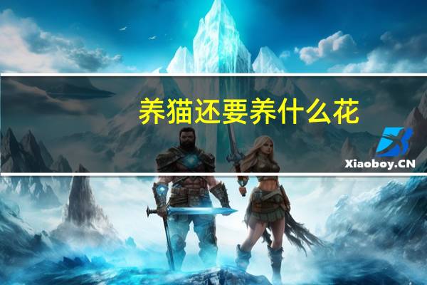 养猫还要养什么花