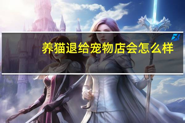 养猫退给宠物店会怎么样