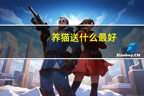 养猫送什么最好