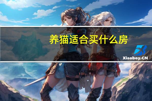 养猫适合买什么房