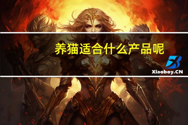 养猫适合什么产品呢